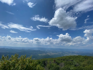 Shenandoah National Park View