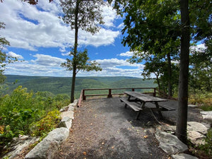 Tuscarora State Forest Lizard Map, Pennsylvania