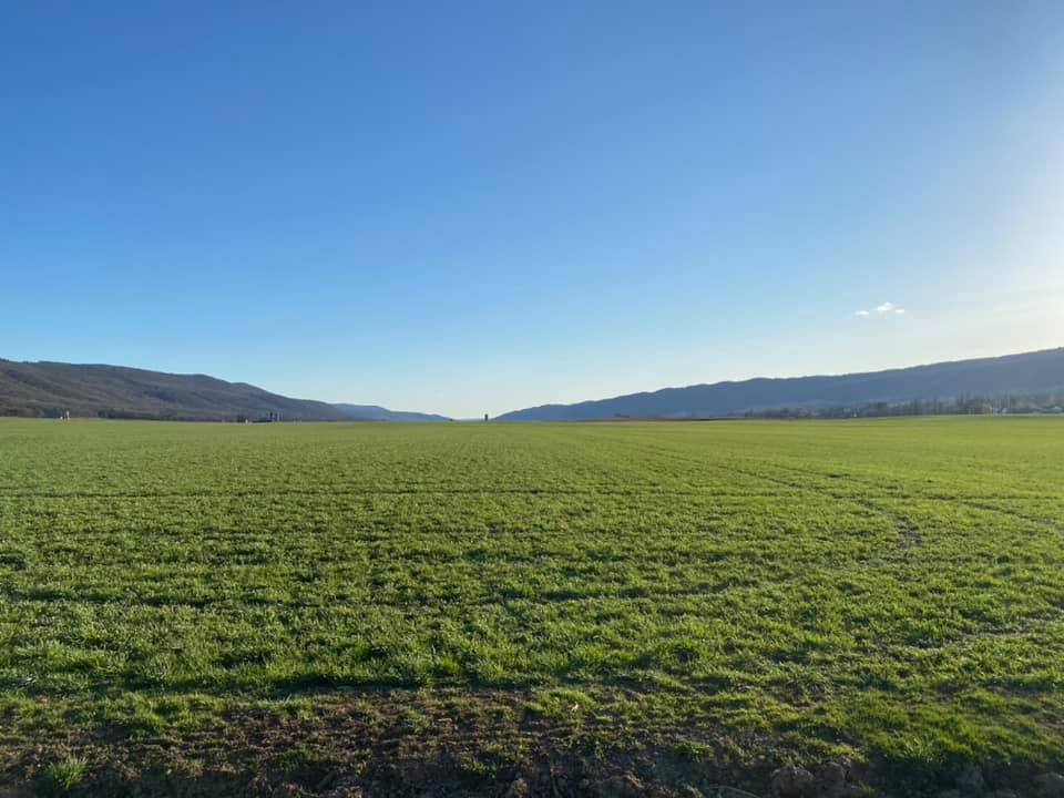 Tuscarora State Forest Lizard Map, Pennsylvania