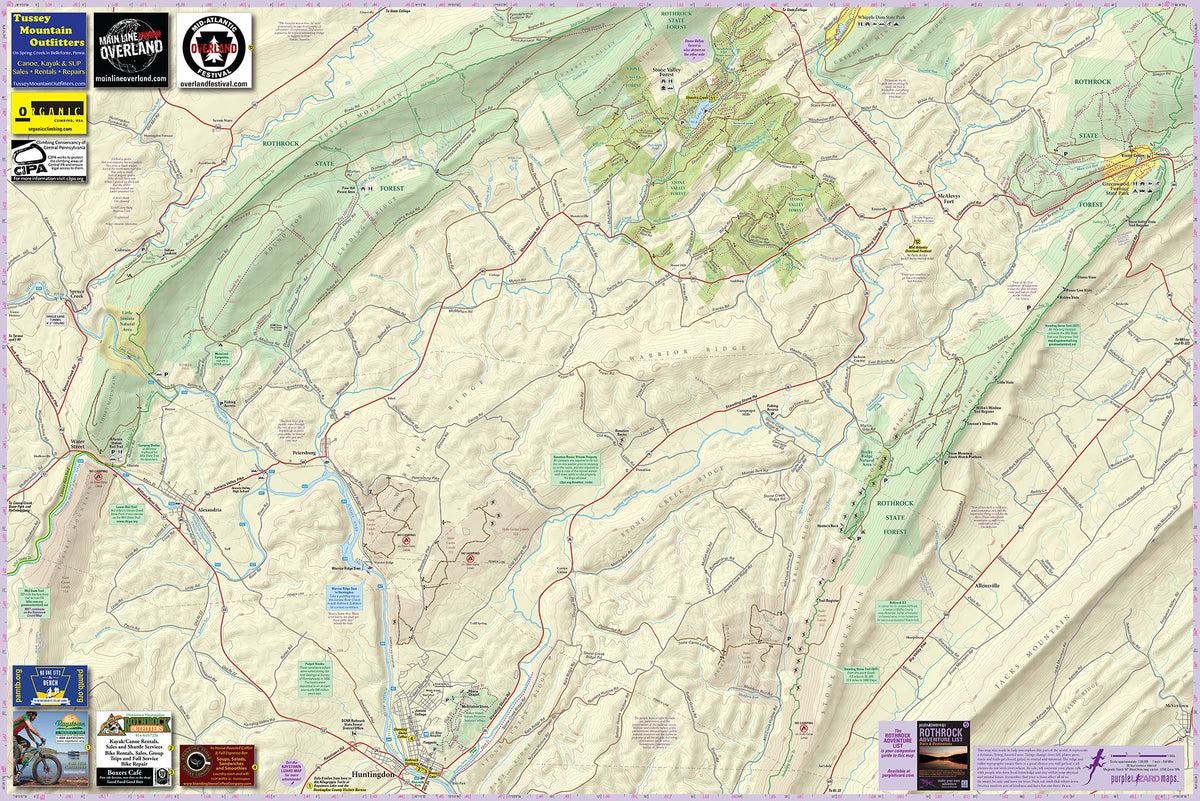 Rolled Lizard Maps (not folded)