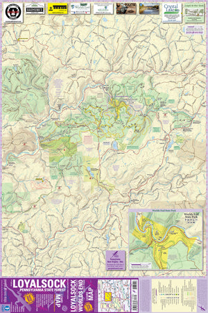 Rolled Lizard Maps (not folded)