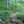 Shenandoah Hiking Trail Purple Lizard Maps