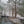 Hook Natural Area Bald Eagle State Forest