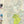 Elkins-Otter Creek Lizard Map: West Virginia