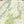 Purple Lizard Shenandoah Map North (pdf), not full size map. 