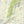 Shanandoah National Park Purple Lizard Maps Pdf. South. Not full size map.