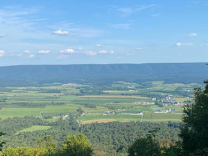 Tuscarora State Forest Lizard Map, Pennsylvania