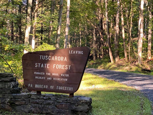 Tuscarora State Forest Lizard Map, Pennsylvania