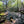 Tuscarora State Forest Lizard Map, Pennsylvania
