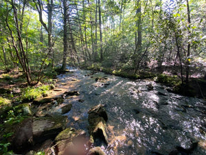 Tuscarora State Forest Lizard Map, Pennsylvania