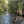 Tuscarora State Forest Lizard Map, Pennsylvania