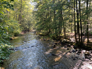 Tuscarora State Forest Lizard Map, Pennsylvania