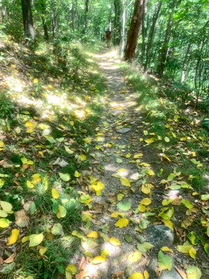 Shenandoah National Park North and South Two-Pack, Virginia