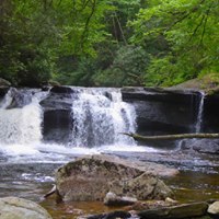 Elkins Otter Creek West Virginia View: Credit Purple Lizard Maps