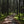 Elkins Otter Creek West Virginia View: Credit Purple Lizard Maps