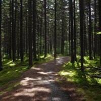 Elkins Otter Creek West Virginia View: Credit Purple Lizard Maps