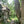 Shenandoah National Park Hiking Trail Photo By Purple Lizard Maps