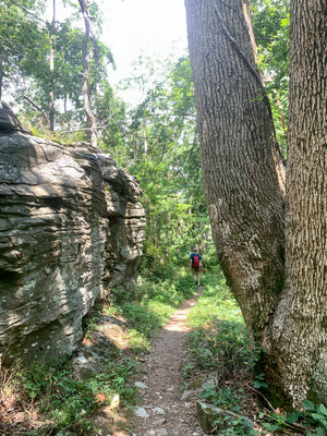 Shenandoah National Park Hiking Trail Photo By Purple Lizard Maps