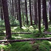 Elkins Otter Creek West Virginia View: Credit Purple Lizard Maps