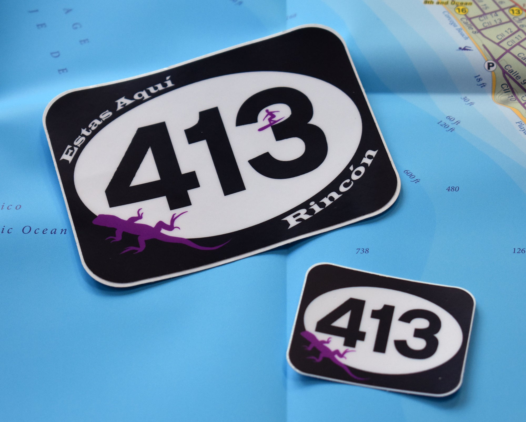 The 413 Lizard Stickers: a matched set