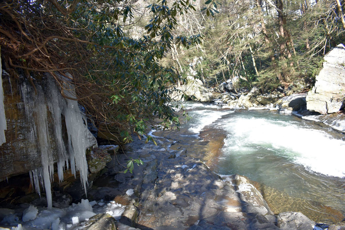 Ohiopyle-Laurel Highlands Lizard Map: Pennsylvania