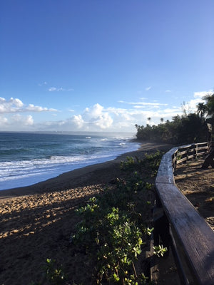 Rincon Puerto Rico: Almond Beach: Photo Purple Lizard Maps