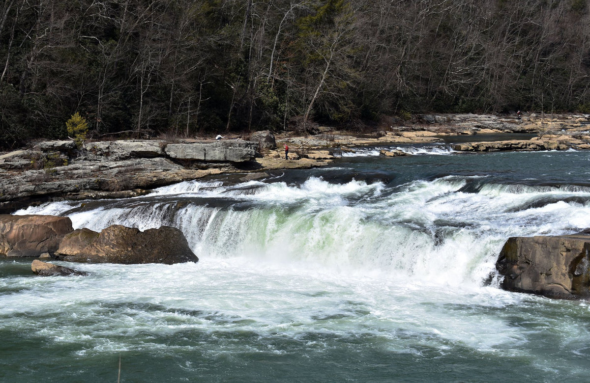 Ohiopyle-Laurel Highlands Lizard Map: Pennsylvania
