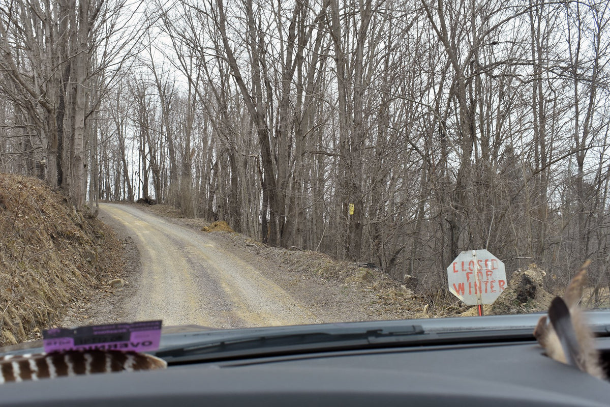 Ohiopyle-Laurel Highlands Lizard Map: Pennsylvania