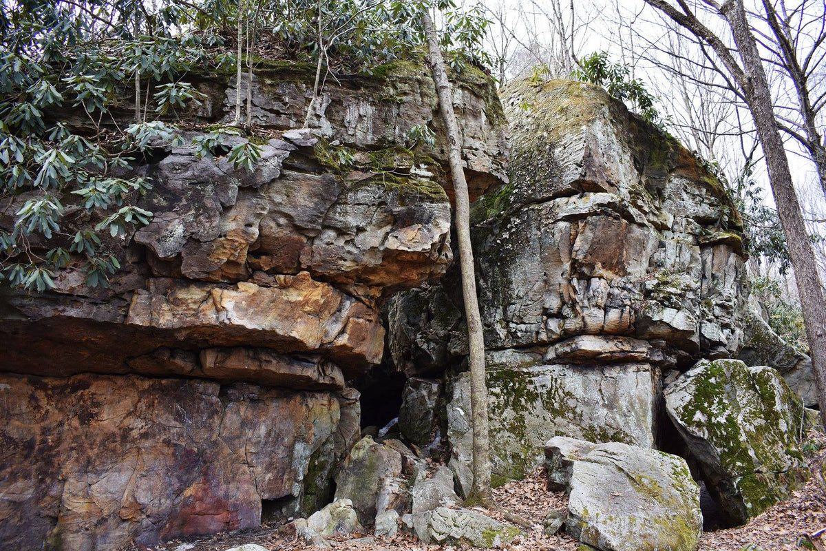 Climbing wall Ohiopyle - Laurel Highlands Photo Purple Lizard Maps