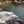 Ohiopyle-Laurel Highlands Lizard Map: Pennsylvania