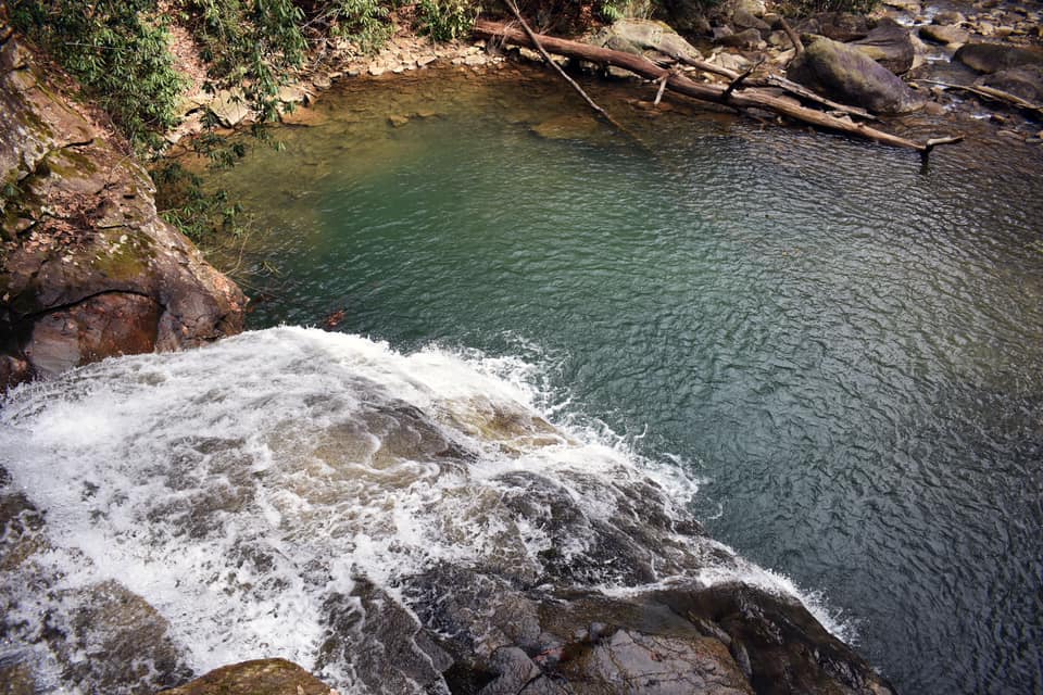 Ohiopyle-Laurel Highlands Lizard Map: Pennsylvania