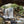 Ohiopyle-Laurel Highlands Lizard Map: Pennsylvania