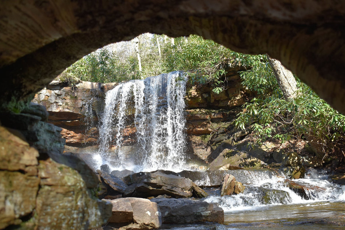 Ohiopyle-Laurel Highlands Lizard Map: Pennsylvania
