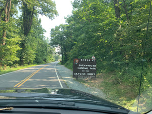 Skyline Drive Purple Lizard Exploring Shenandoah National Park