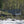 Ohiopyle-Laurel Highlands Lizard Map: Pennsylvania