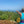 Shenandoah View