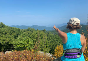 Shenandoah View