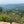 Shenandoah National Park View