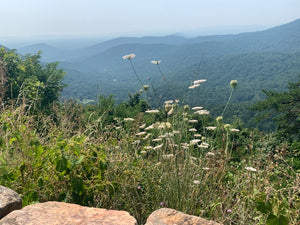 Shenandoah National Park View