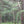 Trail in Michaux State Forest: Photo Purple Lizard Maps