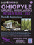 Ohiopyle - Laurel Highlands (PA) Adventure List