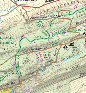 Bald Eagle Lizard Map, Pennsylvania