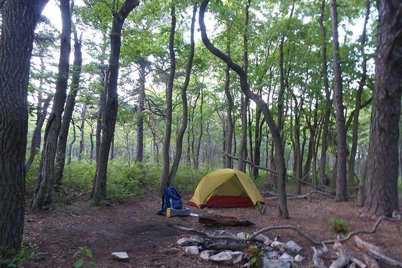 Camping in Michaux State Park: Photo Purple Lizard Maps