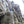 Climbing Wall - Michaux State Forest: Photo Purple Lizard Maps