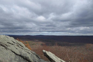 Michaux State Forest View Fall: Purple Lizard Maps