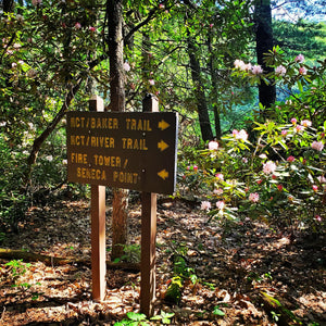 North Country Trail 