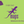 Lizard E-Gift Card