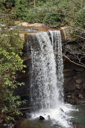 Cucumber Falls Ohiopyle State Park Photo Purple Lizard Maps