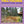 Purple Lizard Pennsylvania Fall Adventure Guide