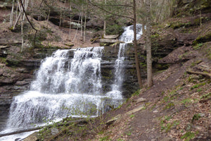 Waterfall along Pine Creek Rail Trail Pennsylvania Grand Canyon Photo Purple Lizard Maps